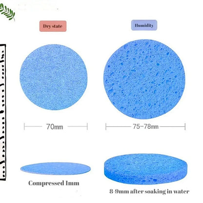 Eco-Friendly Facial Spa Sponges
